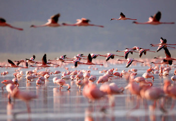 Akmola region: expanding the horizons