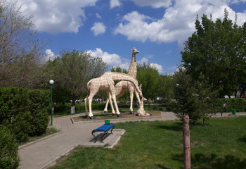 The huge inhabitants of a small town