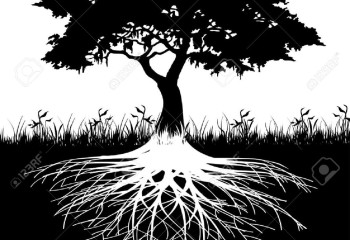 The role of geneology amongst kazakh people 