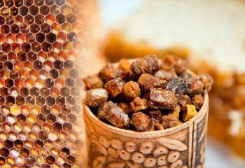 Балтозаң және оның емдік қасиеті