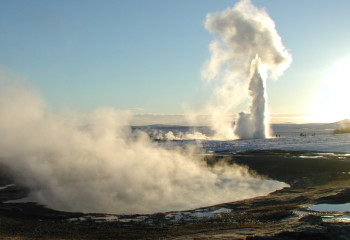 Қайнап шыққан арасан, олжасы оның орасан...