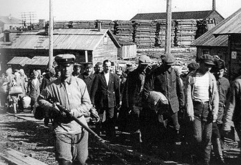 Халықтың жартысын жалмаған зұлматты жылдар