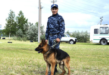 Полицей иттерді іздестіру жұмыстарына қалай дайындайды?