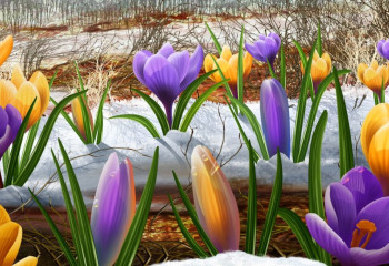 Армысың, Әз-Наурыз!