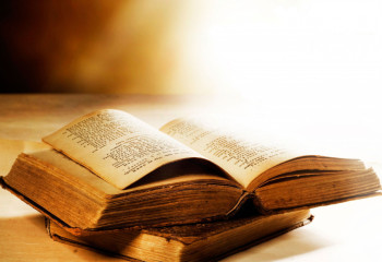 Елімізде қанша термин бекітілген?