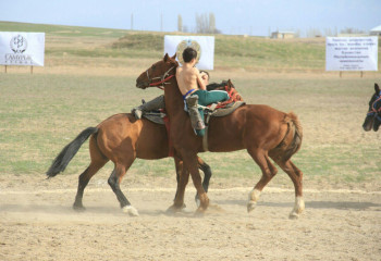 Ұлттық ат спорты түрлерінен өтетін дүбірлі дода 