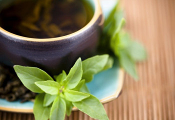 «Емшілік кәсіп емес, өнер»