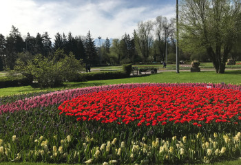 Қызғалдақ – табиғи құндылық