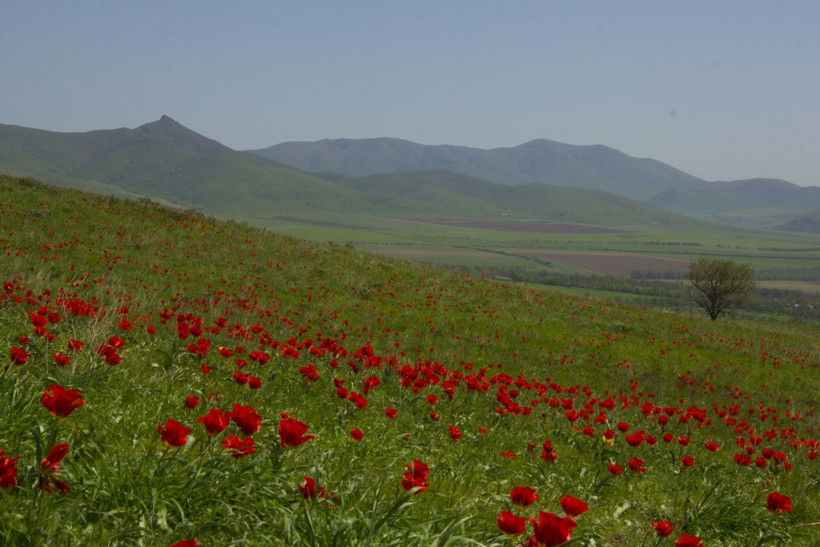  Фотосуреттерді түсірген автор 