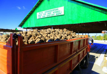 Көксу қант зауытының жаңа тынысы