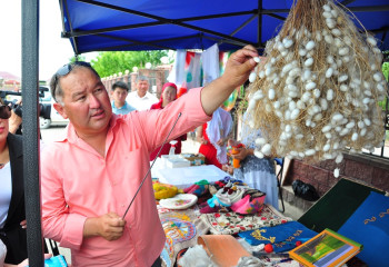 Жібек мата өндіруді қолға алған азамат