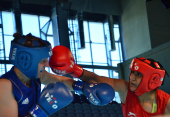 Тартысқа толы «Президент кубогы» 