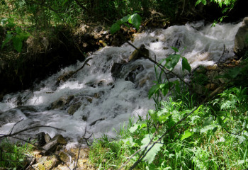 Түрген шатқалы несімен сұлу?