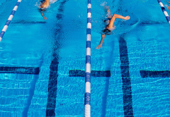 Жүзудің 5 негізгі техникасы