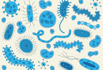 Бактерия тасмалдаушылар күнделікті жанымызда