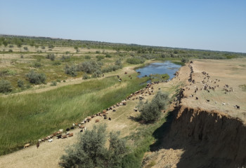 Әйгілі Ойыл даласы