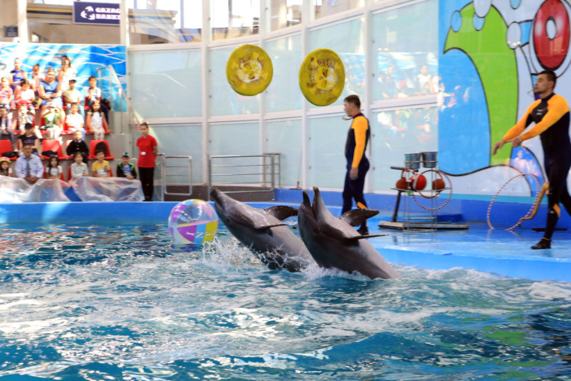  Нұрбек Әлманбетов 