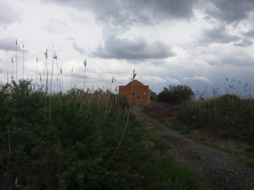  Айман Махамбетова 