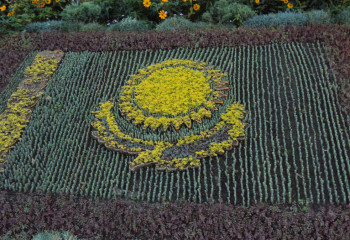 Гөзел Құлжабаева: Бізде гүл өсіру мәдениеті қалыптаспаған