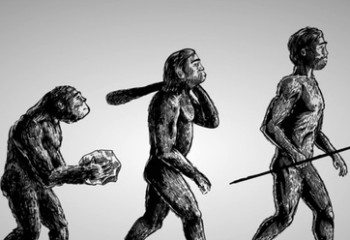 Эволюция туралы 5 жаңсақ пікір