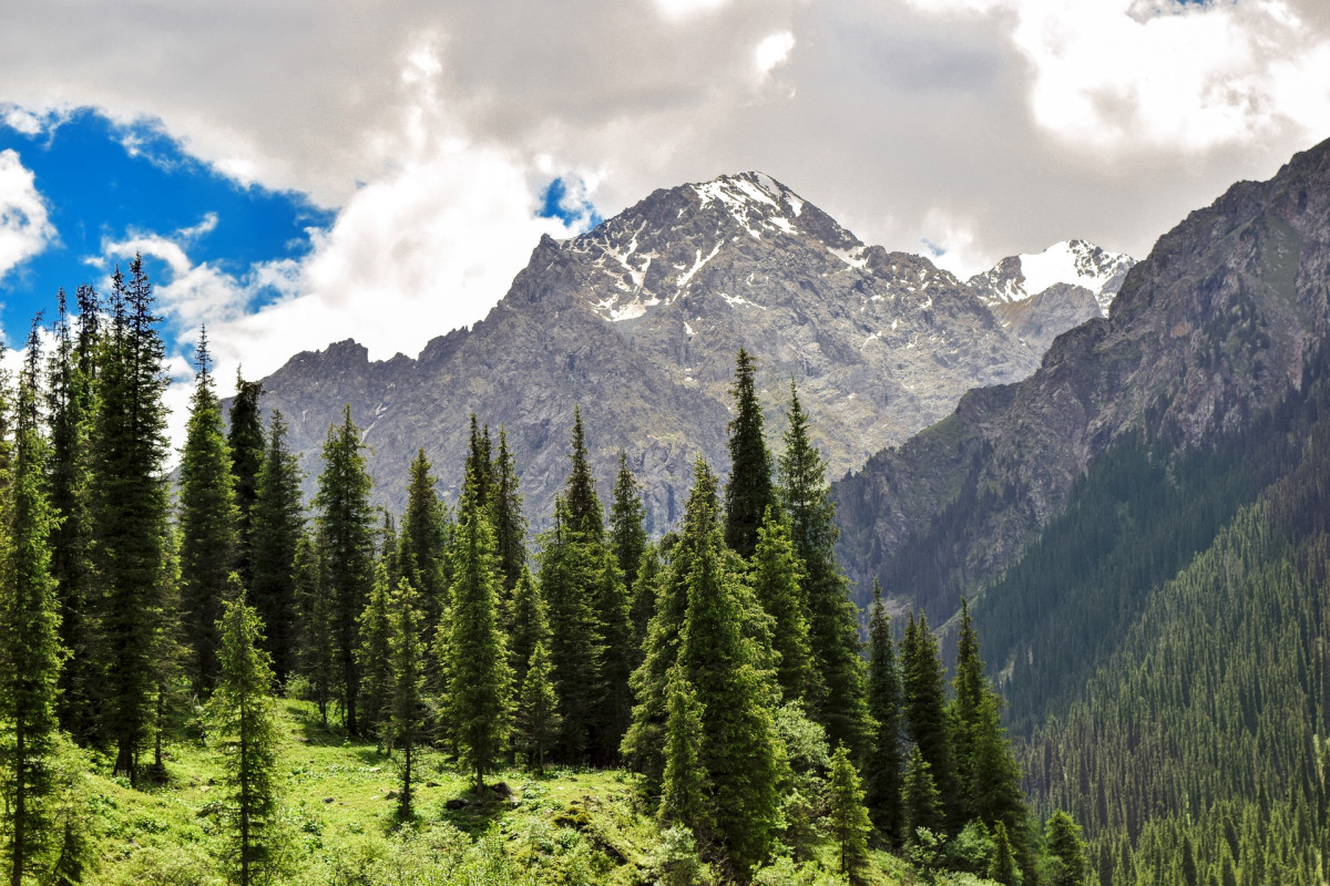  фото: pixabay.com 