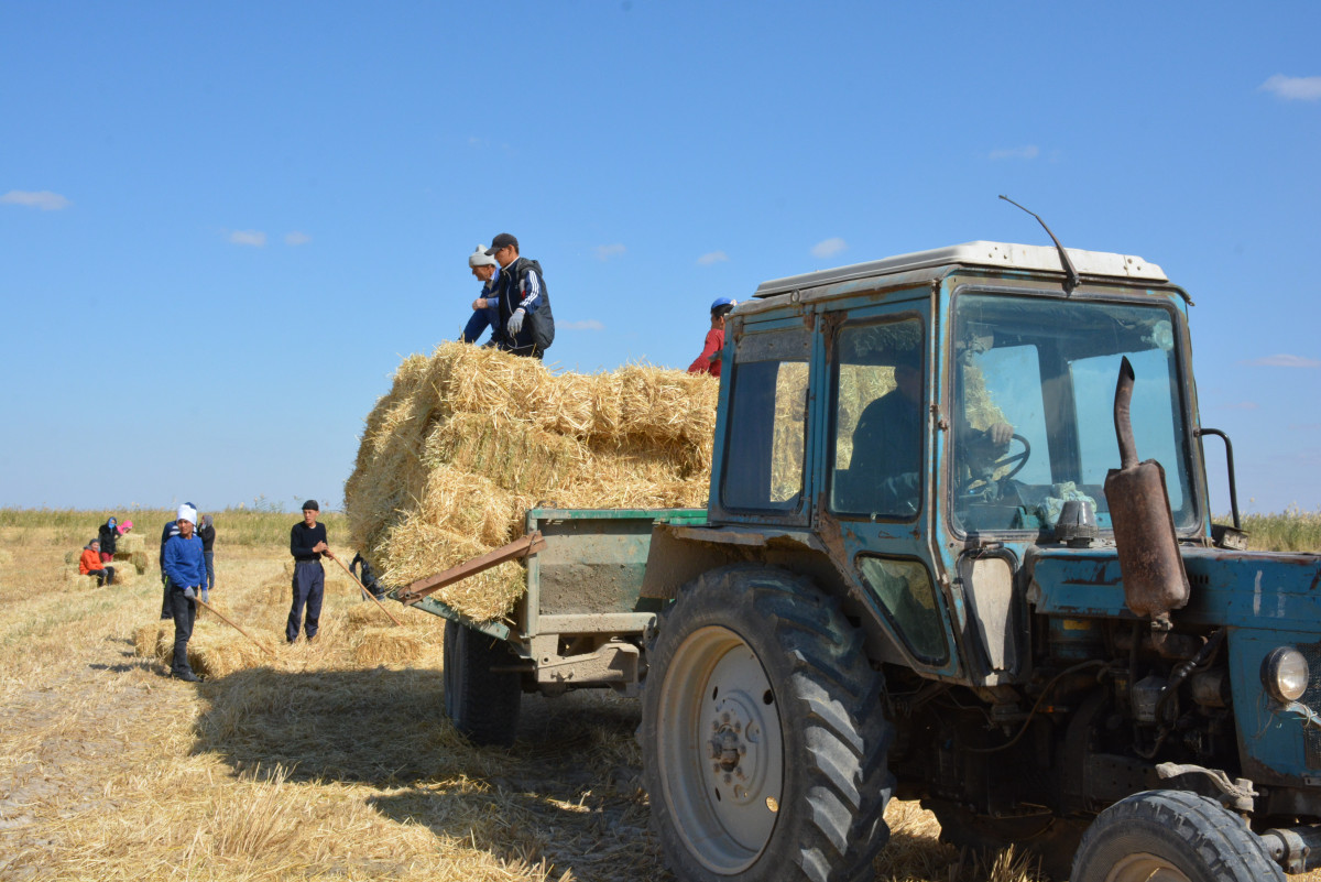  Жандос Оразмаханов 