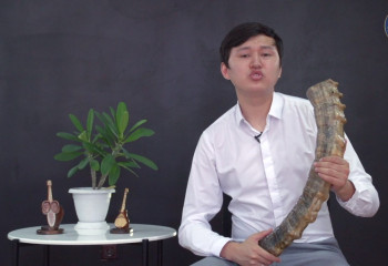 Мүйіз сырнай музыкалық аспабын таныстыру