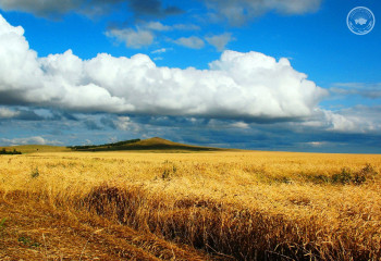Реализация программы «Туған жер» требует максимальной организованности