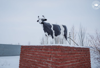 СПЕЦРЕПОРТАЖ: НЕТ В МИРЕ КРАШЕ «РОДИНЫ» НАШЕЙ