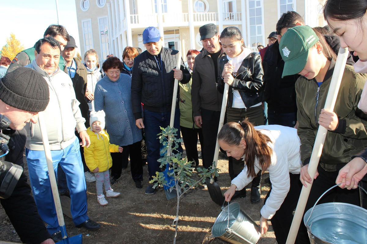 2 тыс. молодых деревьев посадили в Западном Казахстане