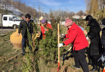 В Шымкенте в рамках недели благодарности провели субботник, пригласили за большой дастархан соседей и оказали почтение учителям