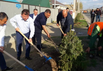 В Уральске члены АНК в рамках двухмесячника чистоты посадили ели