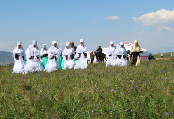 В Алматинской области на празднике «Қымызмұрындық» выпито 600 литров кумыса