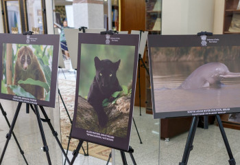 Фотопутешествие в загадочную и таинственную родину «Книги Джунглей»