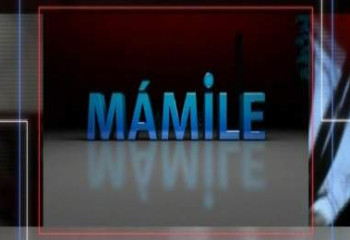 В столичном Доме дружбы открылся клуб казахского языка «Мәміле»