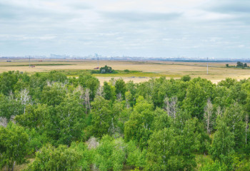 ‘ASTANA ORMANY’ LLP TO EXPLAIN PRESIDENT'S SOCIAL INITIATIVES