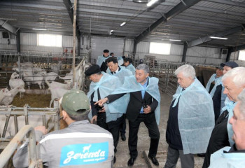 MAZHILIS DEPUTIES GOT ACQUAINTED WITH THE WORK OF ZERENDA LLP BREEDING FARM