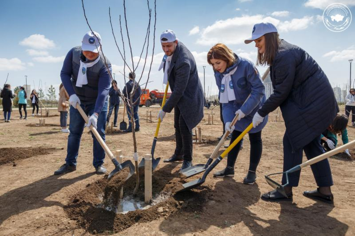 APPLE ORCHARD OF 800 FROST-RESISTANT APPLE TREES WAS PLANTED IN THE CAPITAL