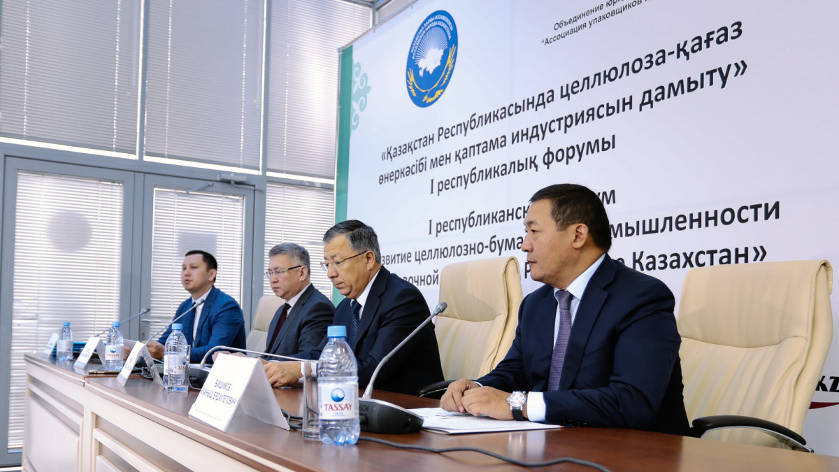Zhanseit Tuimebayev: State support for the paper industry is important for export capacity building