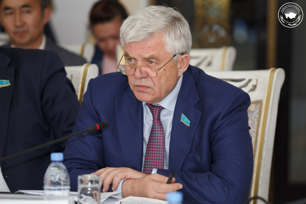  Vladimir Bozhko: Kazakh language is a social and economic lift for the citizens of the country