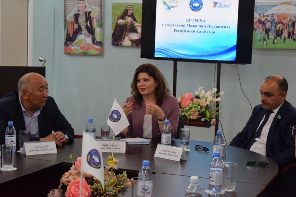 NARINE MIKAYELYAN: THE TASK IS TO SOLVE REGIONAL PROBLEMS AT THE PARLIAMENTARY LEVEL
