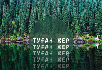 Шалажансар жобалардың қатары сиреп,  сауатты бағдарламалардың саны артуы үшін...