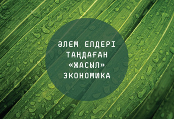 «Жасыл» экономиканың басты міндеті – қоршаған ортаға келетін зиянды азайту