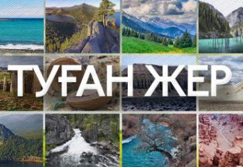 «Туған жер» бағдарламасы кәсіпкерлердің ел-жерге деген жауапкершілігін 80% арттырды