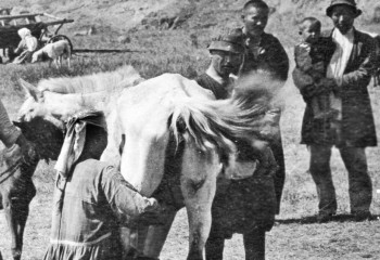 Ерекболат Кабылда: «Қымыз күні» мерекесін енгізсе, нұр үстіне нұр болар еді