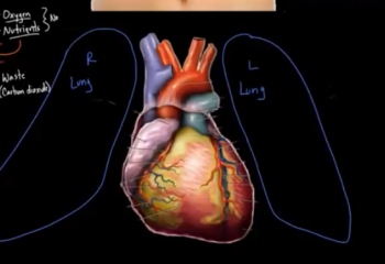 Жүрекпен танысу!