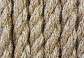 Без аркана, как без рук