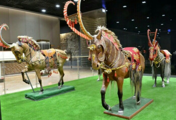 История без белых пятен