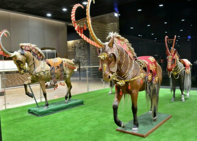  Автор фото: Чингиз Майсеит 