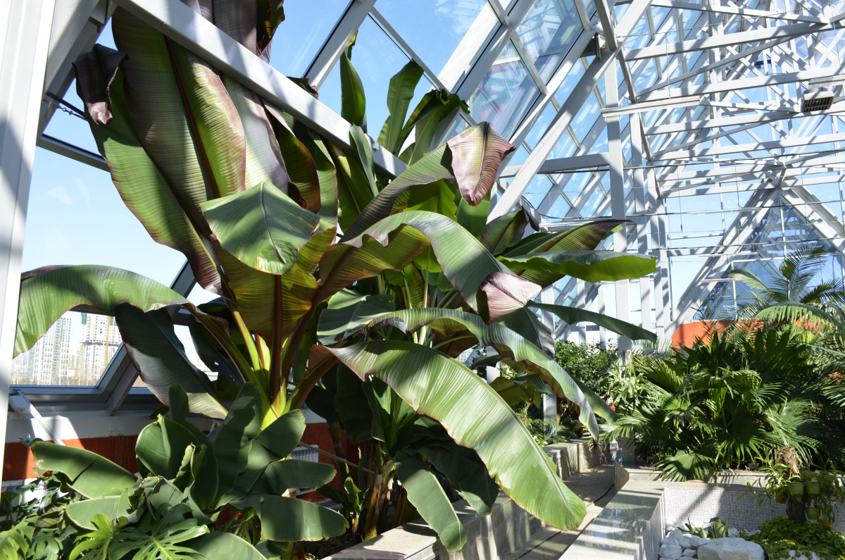  Автор фото: Чингиз Майсеит 